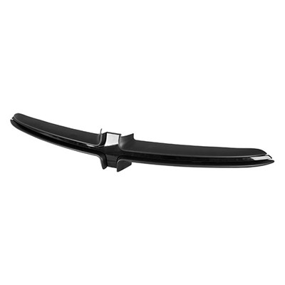 Replace Front Grille Molding