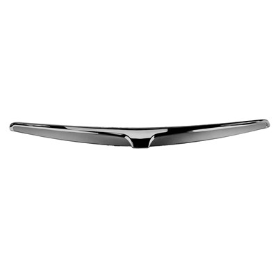 Replace  Grille Molding